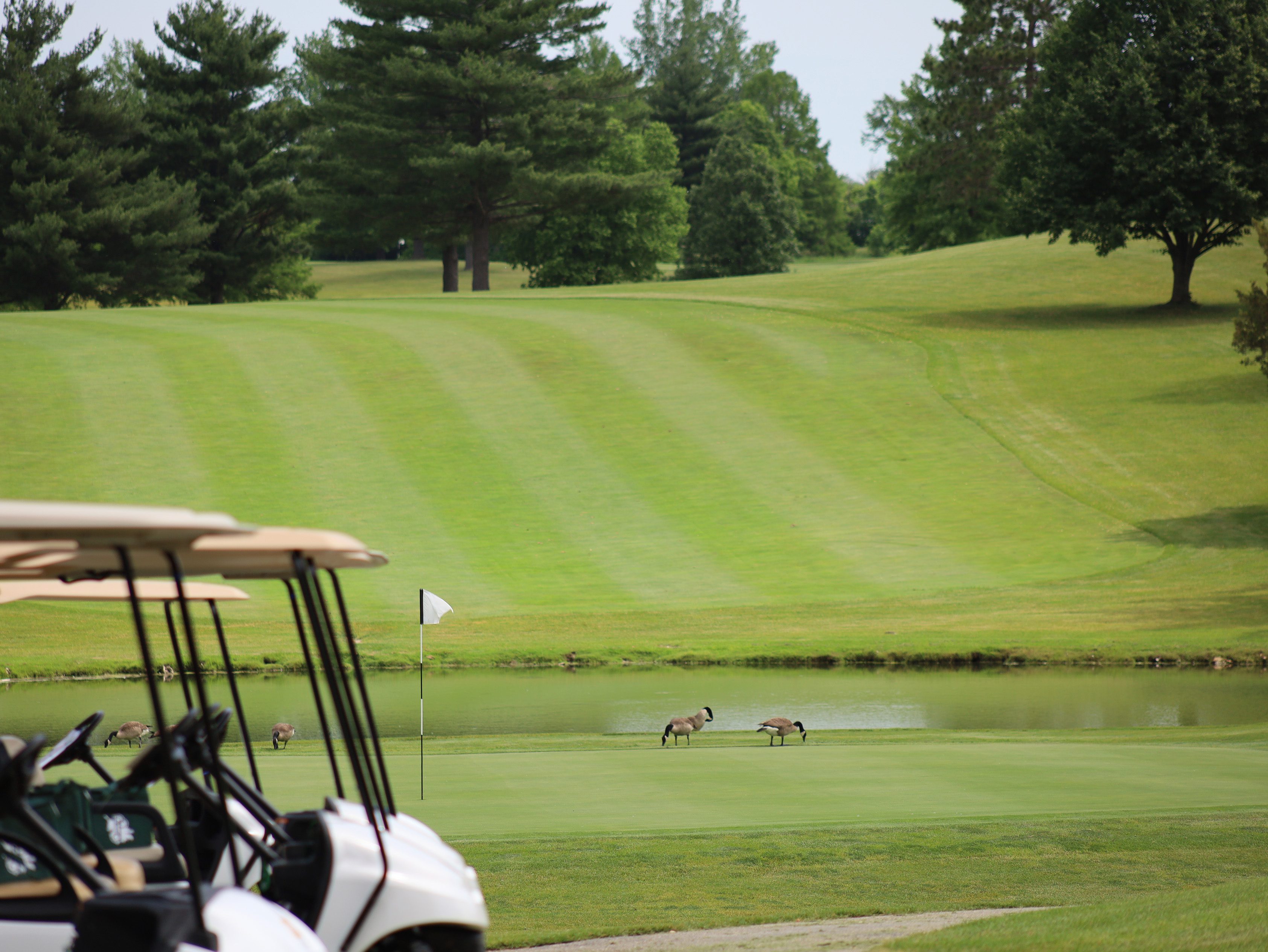 View of Kellogg Golf Course fairway and green