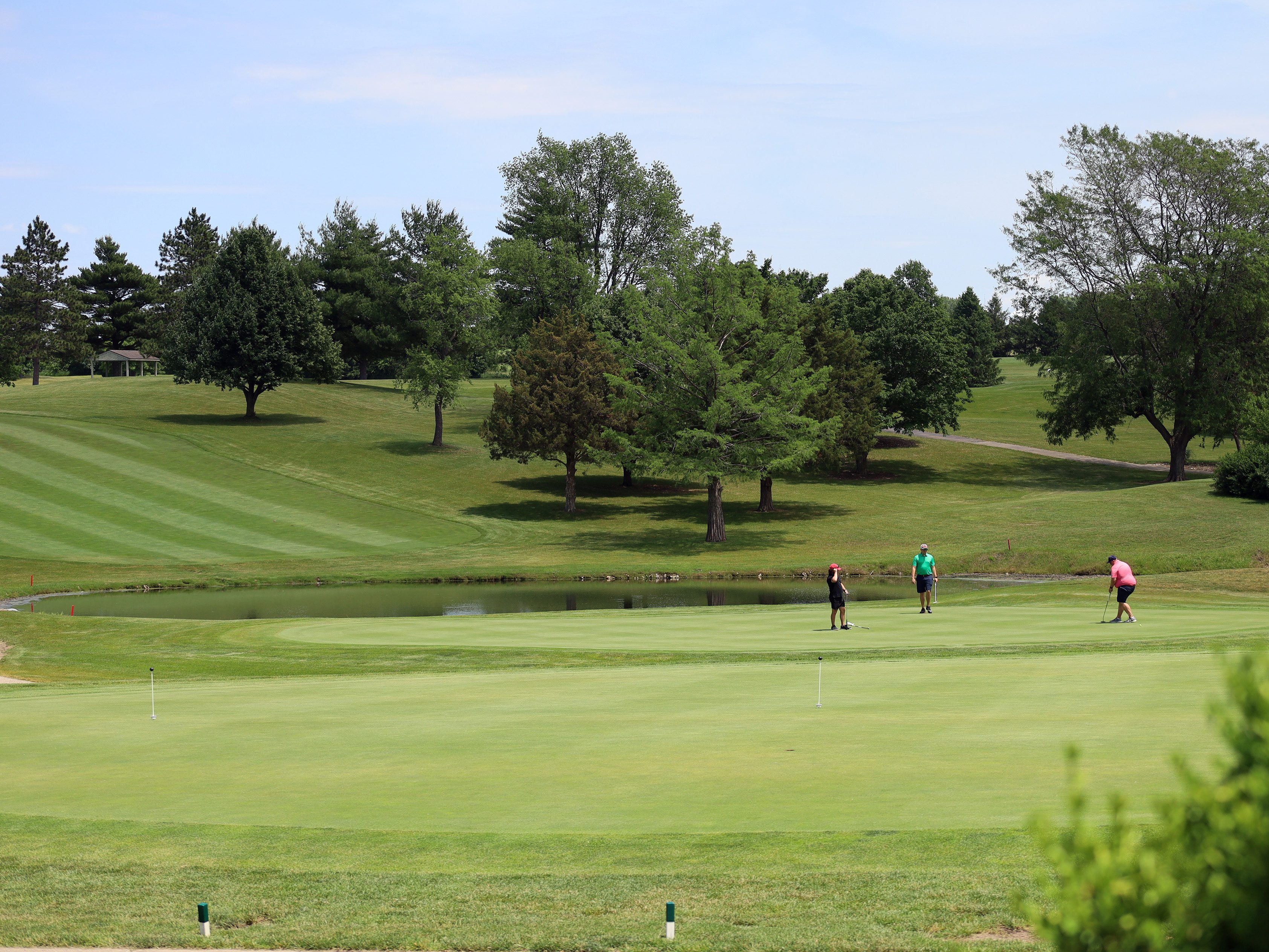 Tree-lined fairway at Kellogg Golf Course