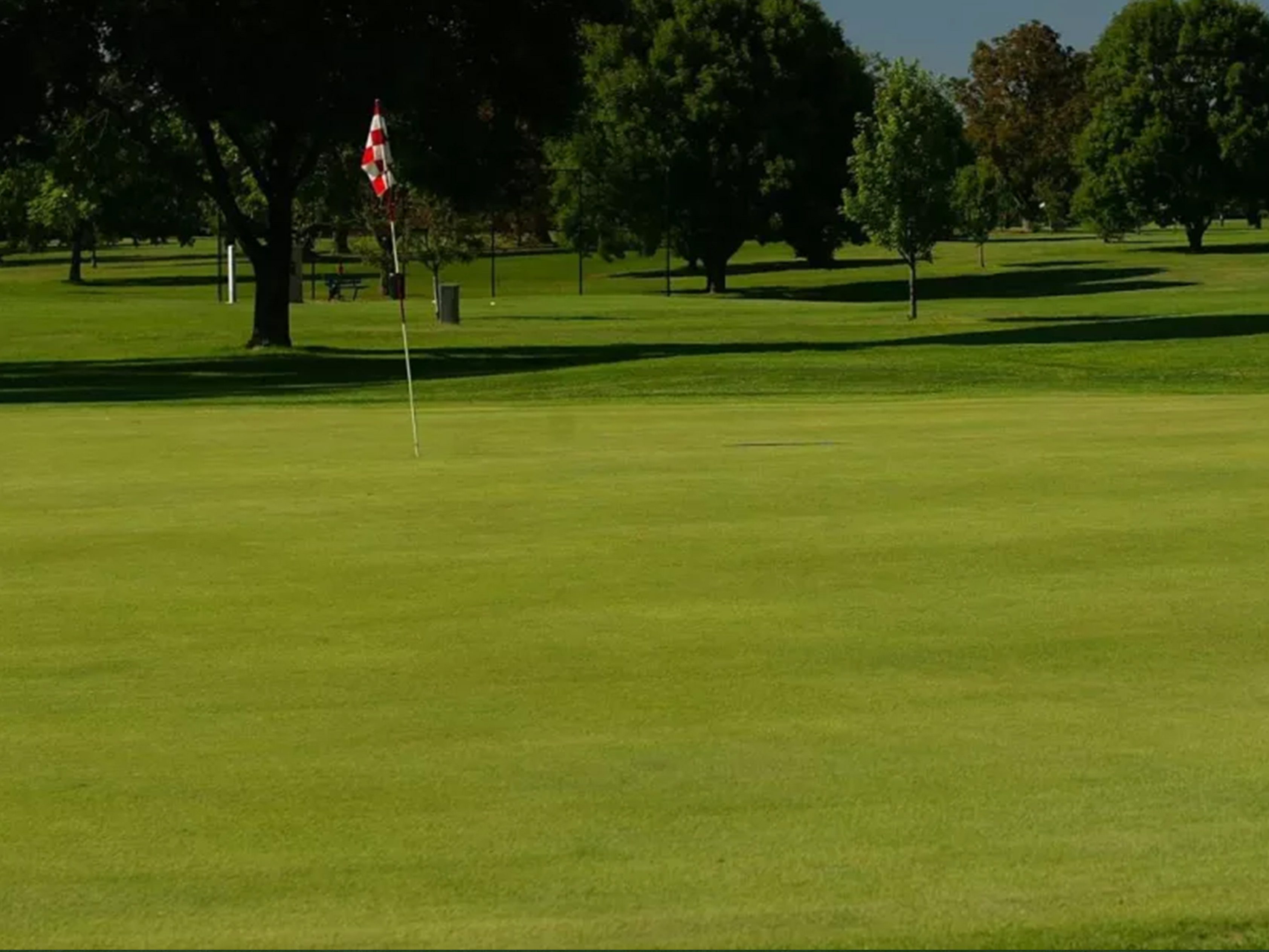Madison Golf Course green surrounded by trees