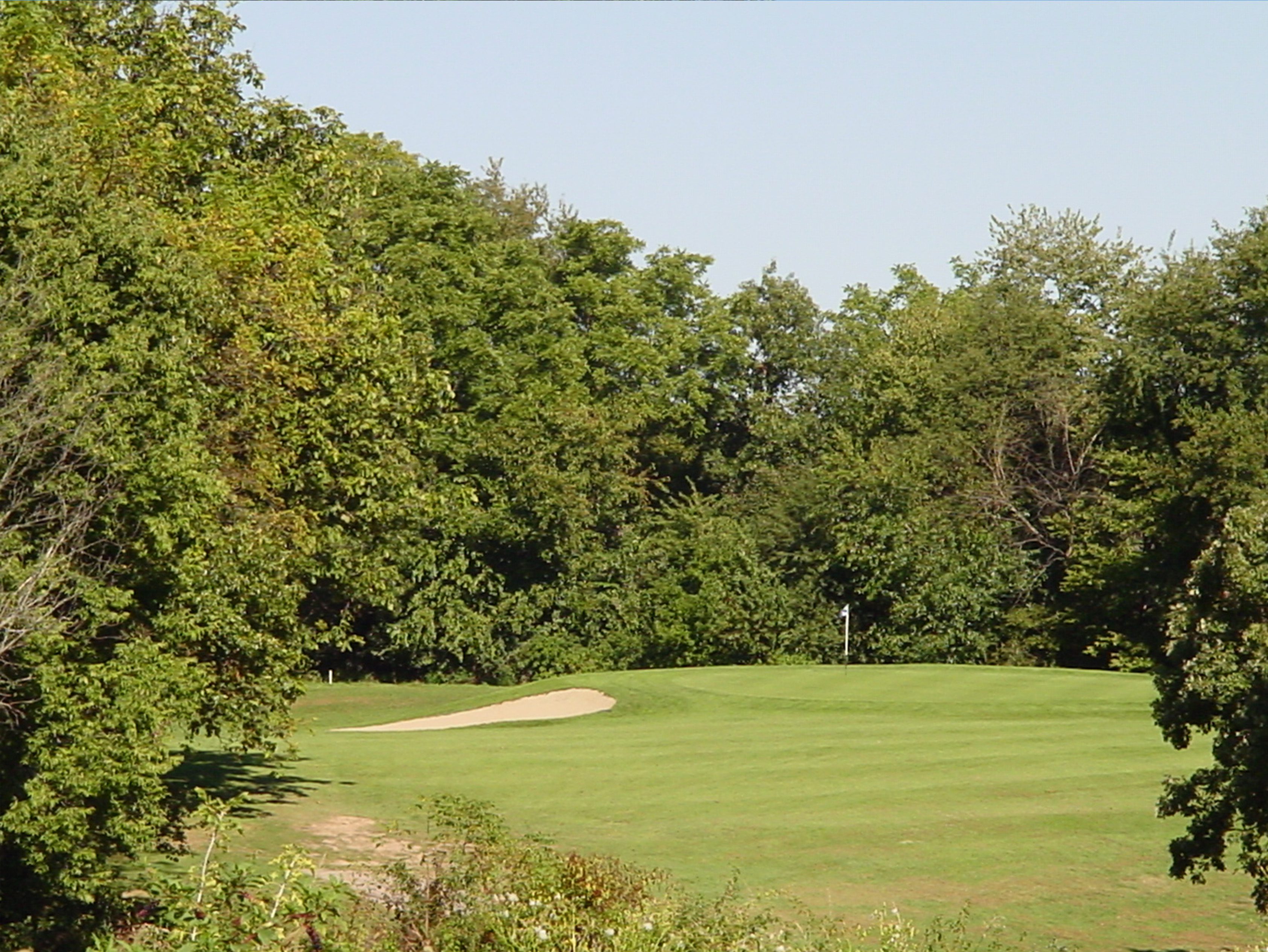 Newman Golf Course green surrounded by trees